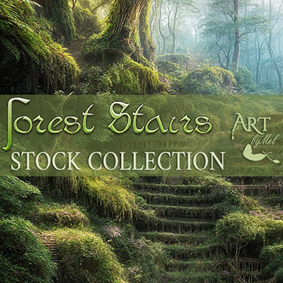 Forest Stairs Stock Collection